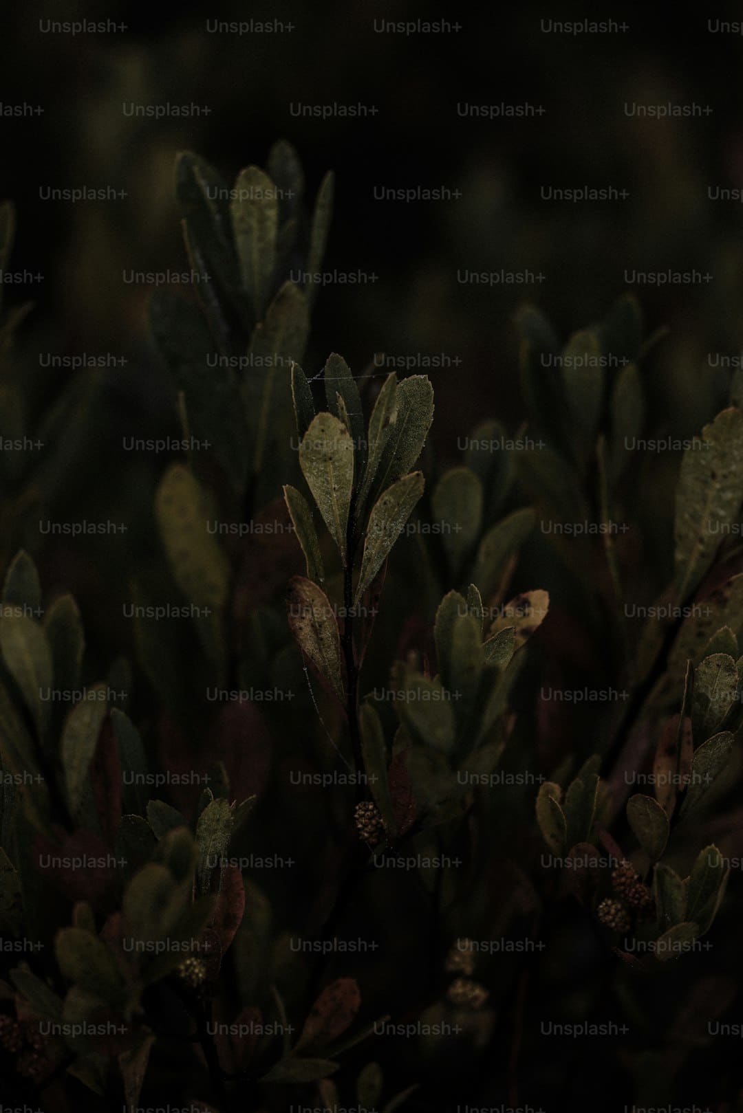 https://img0.utuku.imgcdc.com/650x0/news/20250811/b2fdabb1-ca79-4cb0-982c-45b4a1148bf3.jpg